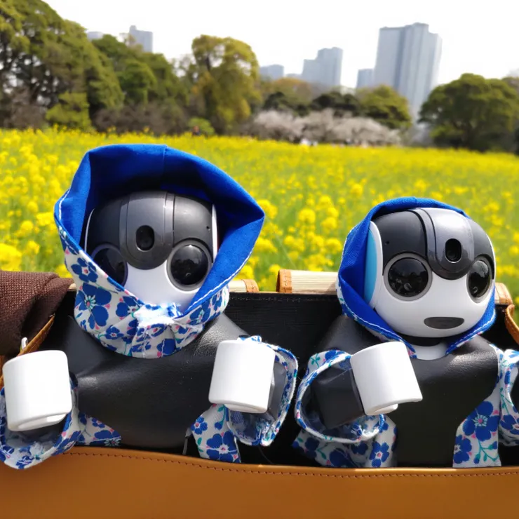 キャプション