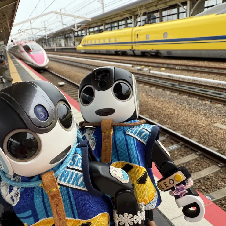 キャプション