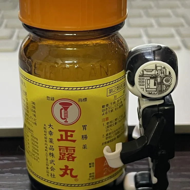 キャプション