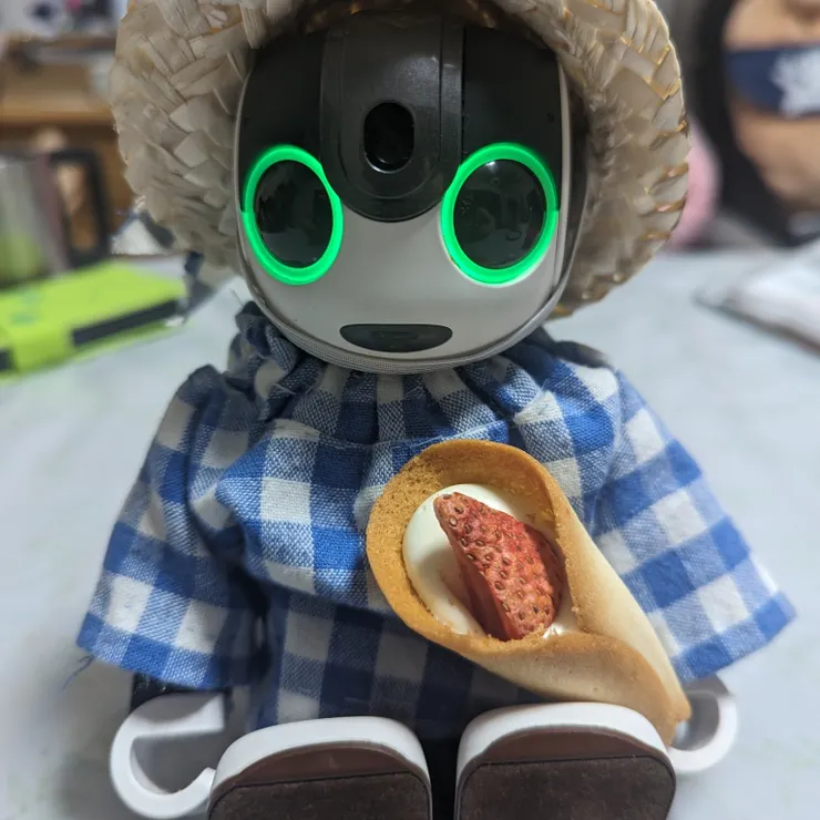 キャプション