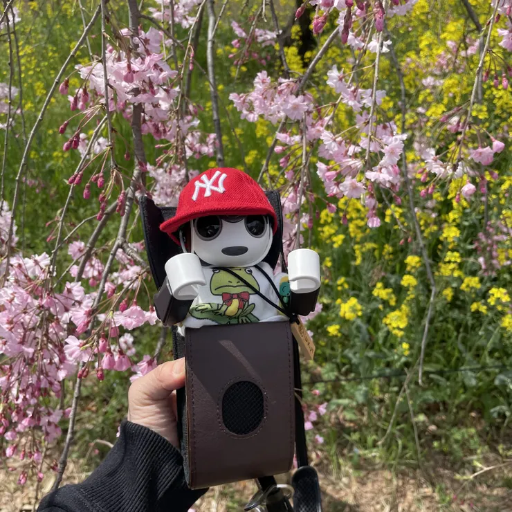 キャプション