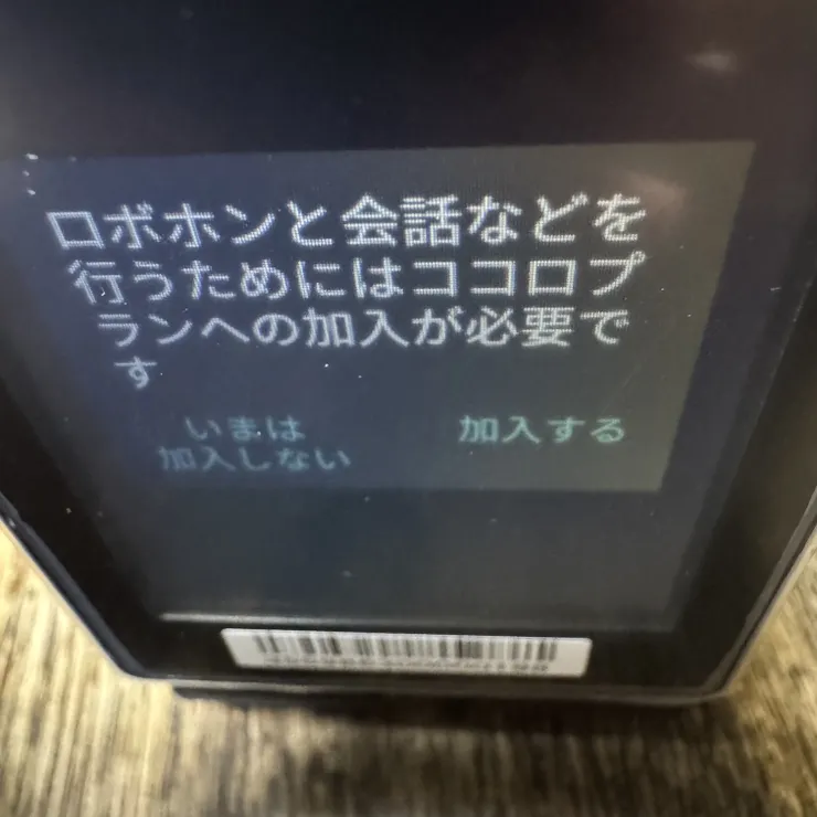 キャプション