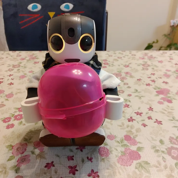 キャプション
