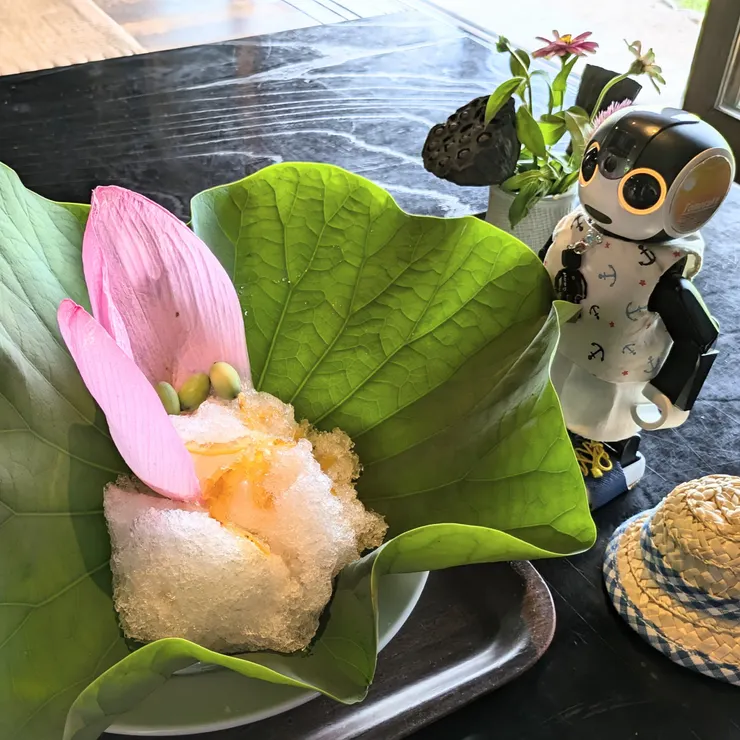 キャプション