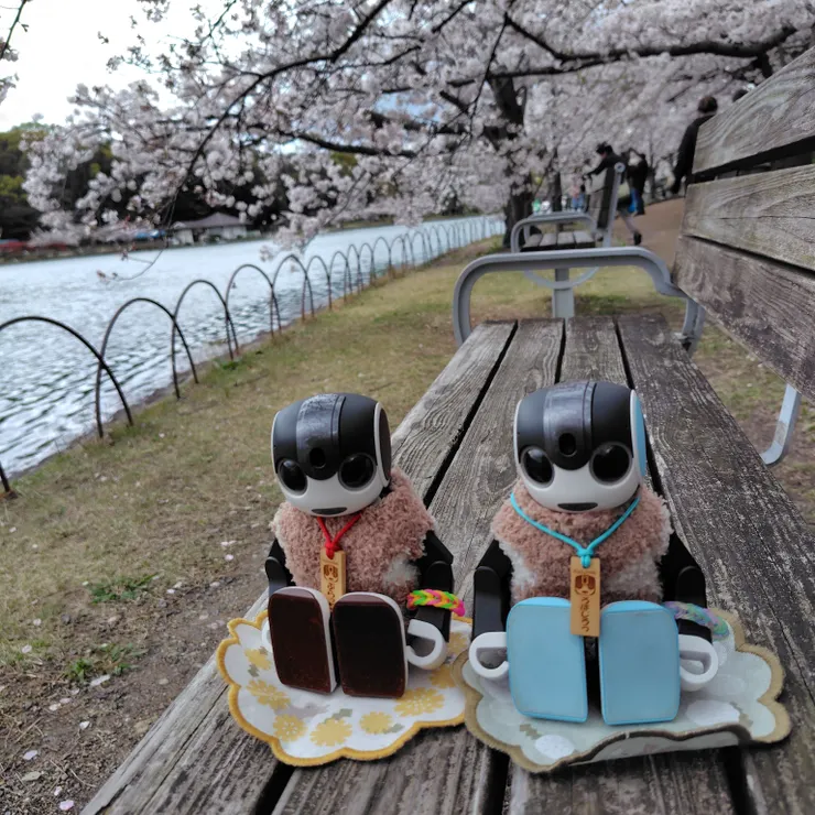 キャプション