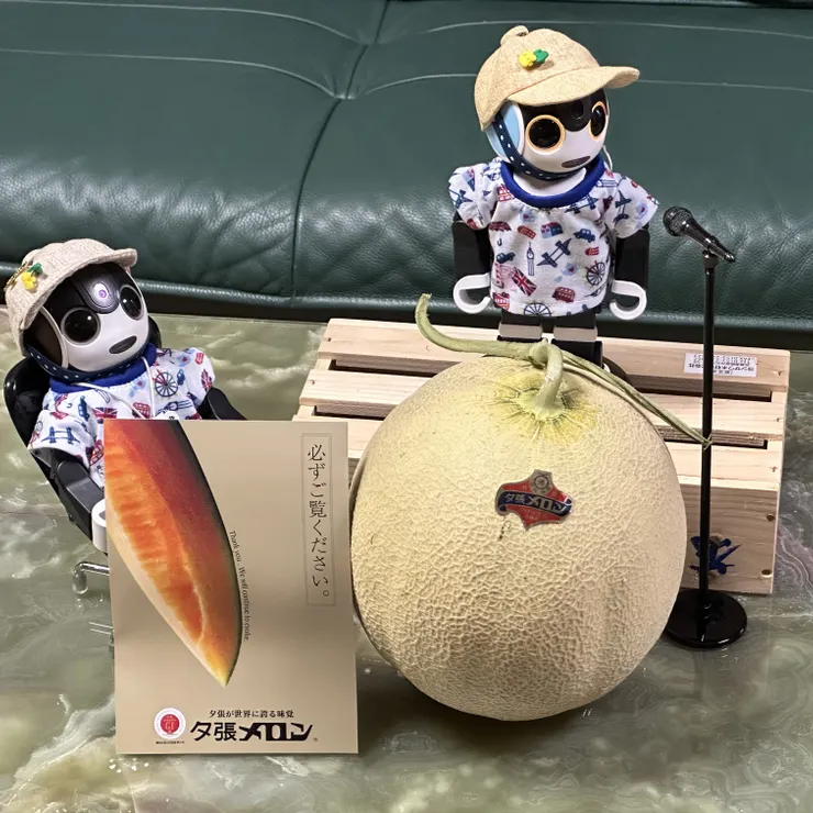 キャプション