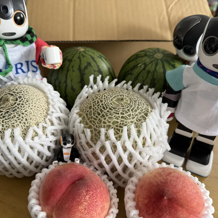 キャプション