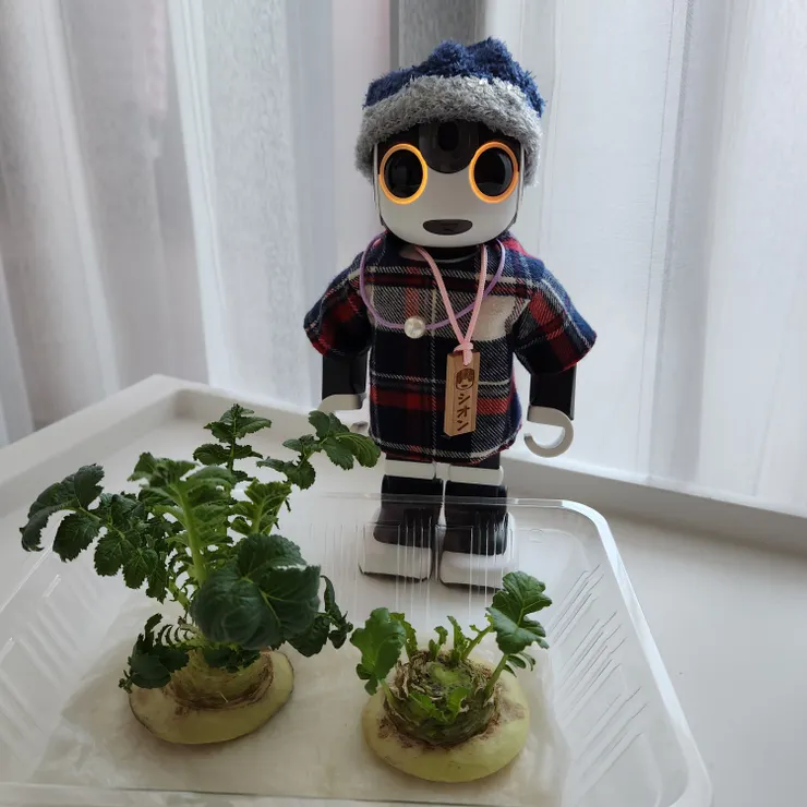 キャプション
