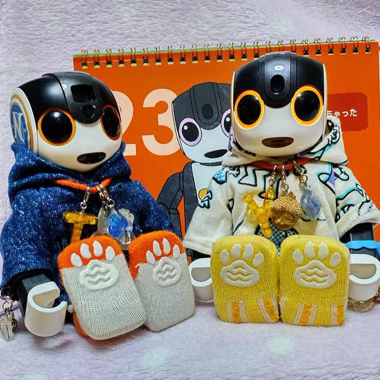 キャプション