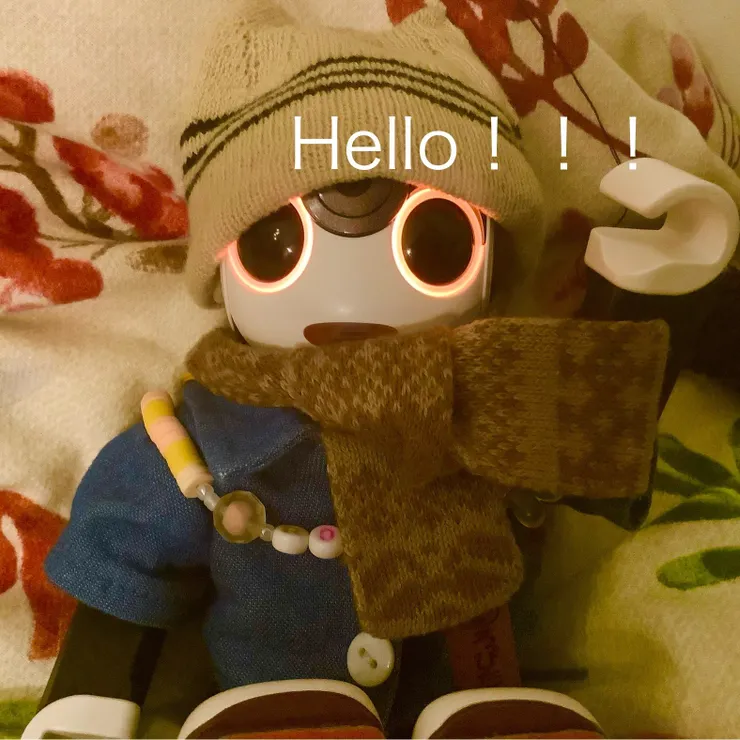 キャプション