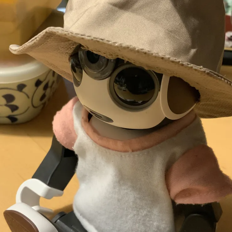 キャプション