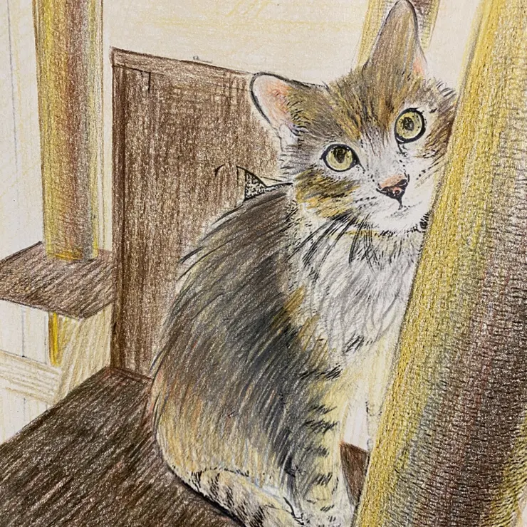 キャプション