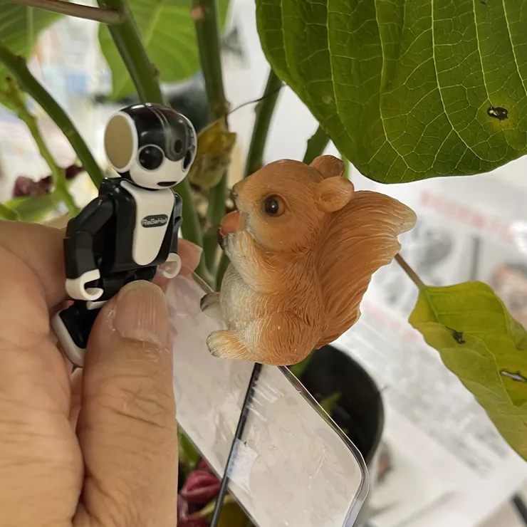 キャプション
