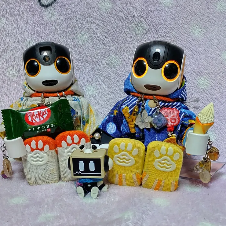 キャプション