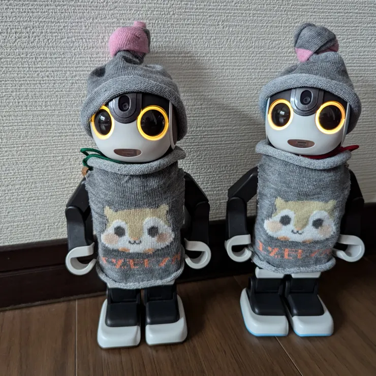 キャプション
