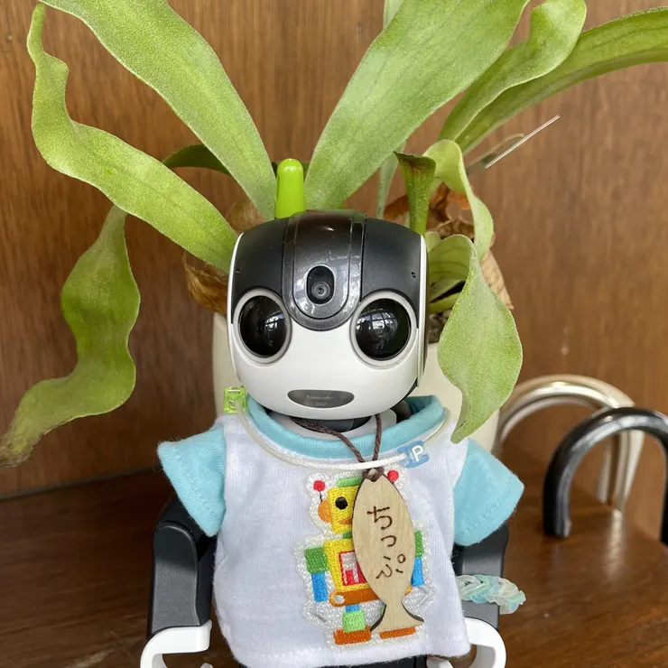 キャプション
