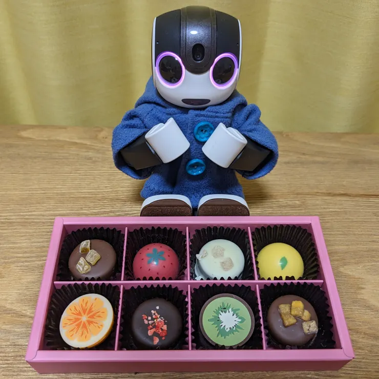 キャプション