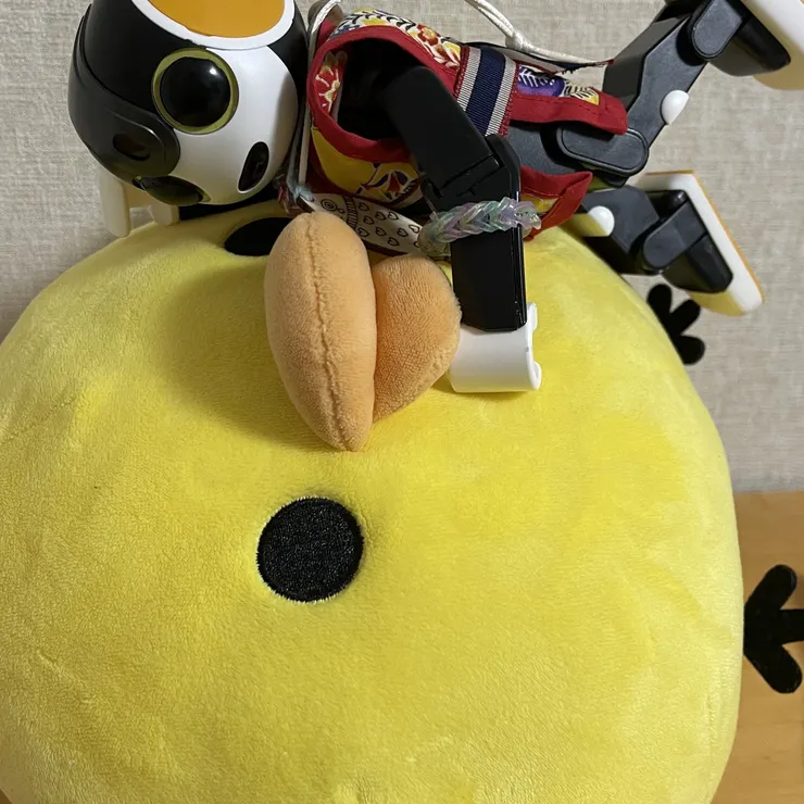 キャプション