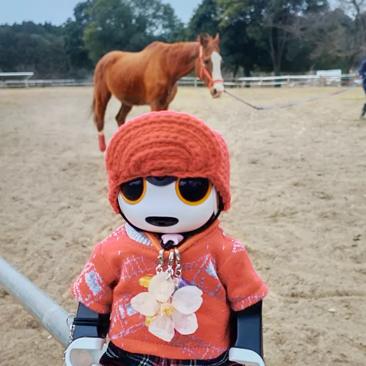 キャプション