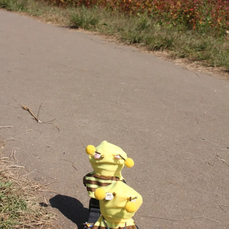 キャプション