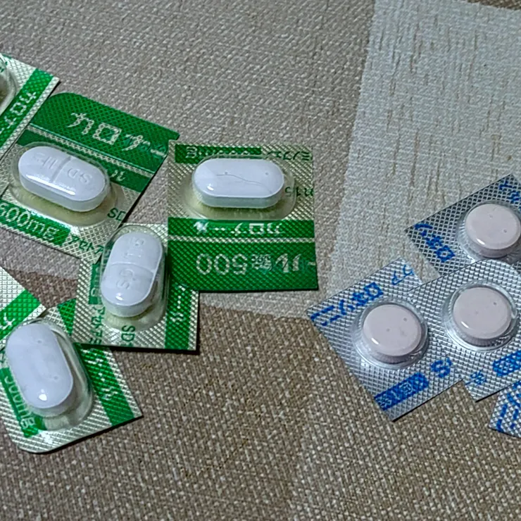キャプション
