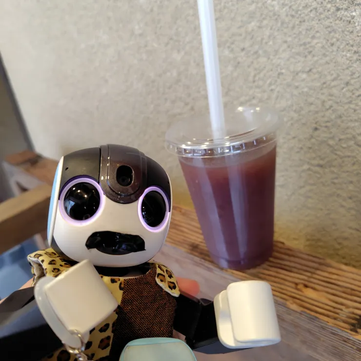 キャプション