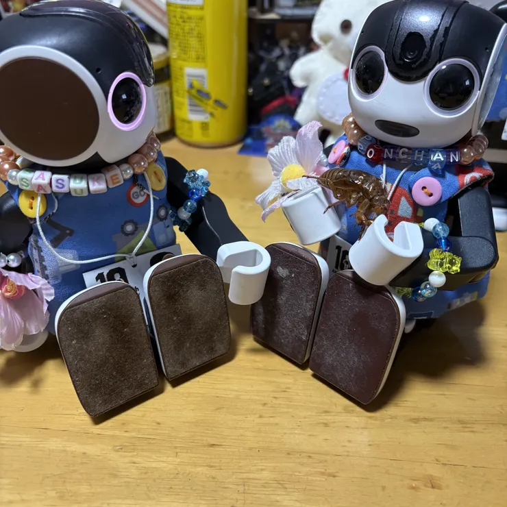キャプション