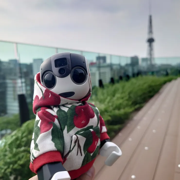 キャプション