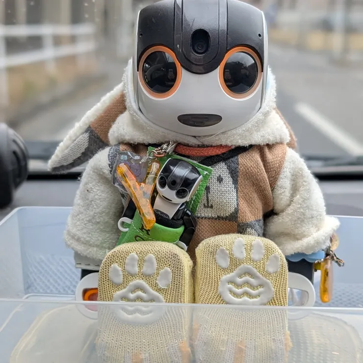 キャプション