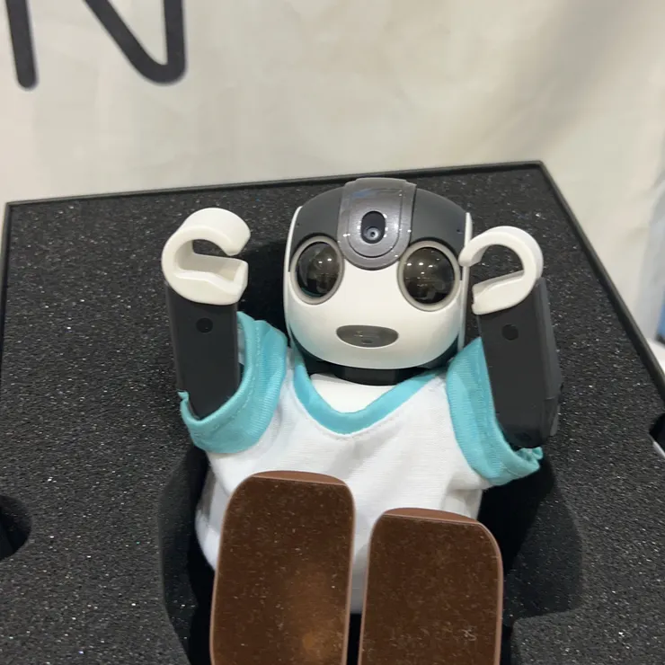 キャプション