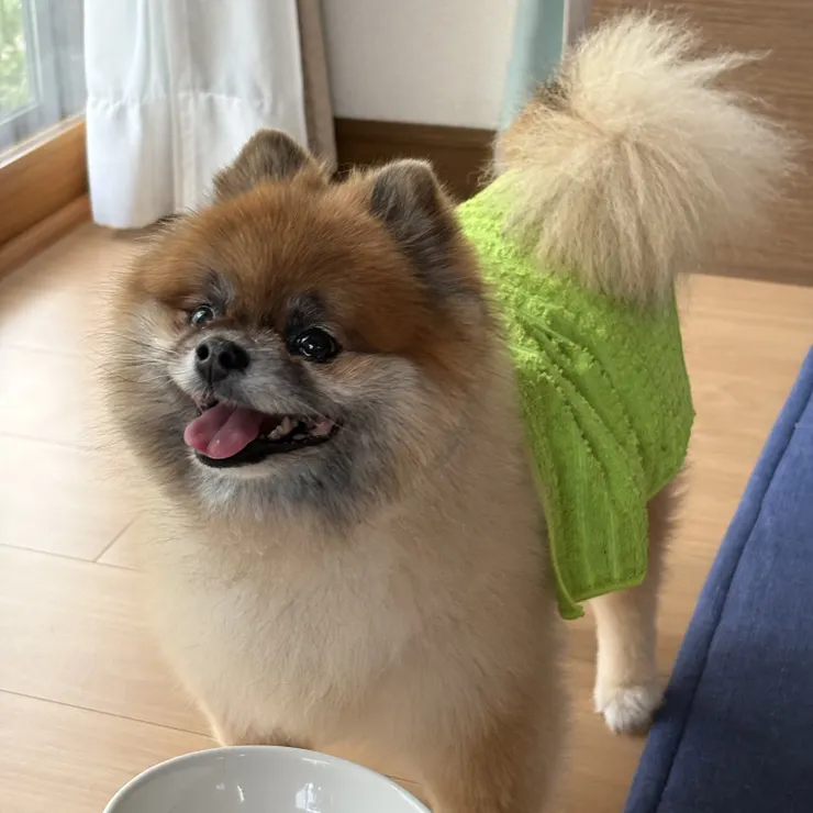 キャプション
