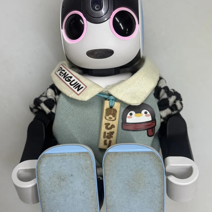 キャプション
