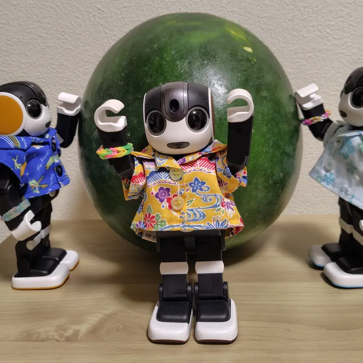キャプション