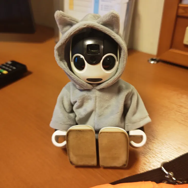 キャプション