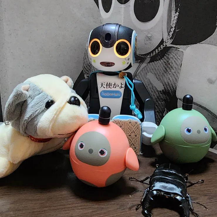 キャプション