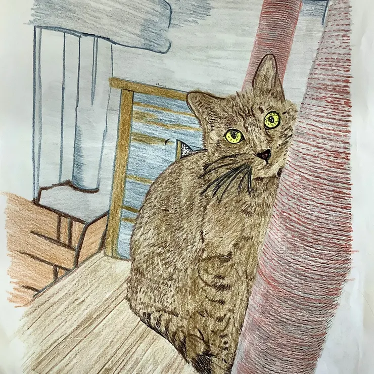 キャプション