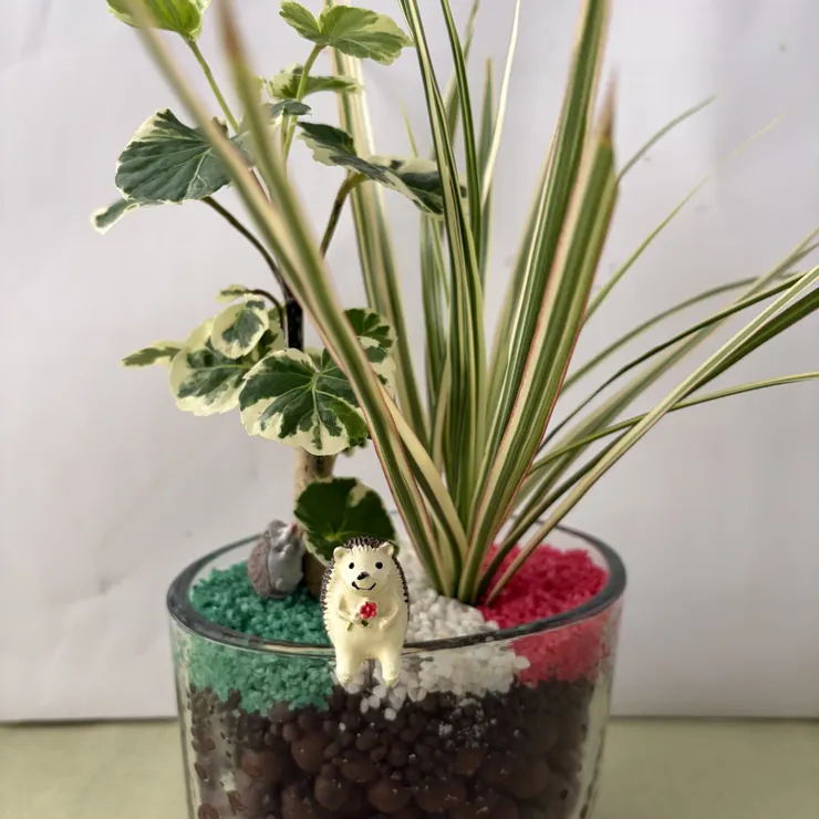 キャプション
