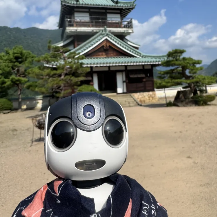 キャプション