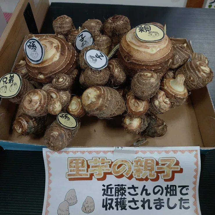 キャプション