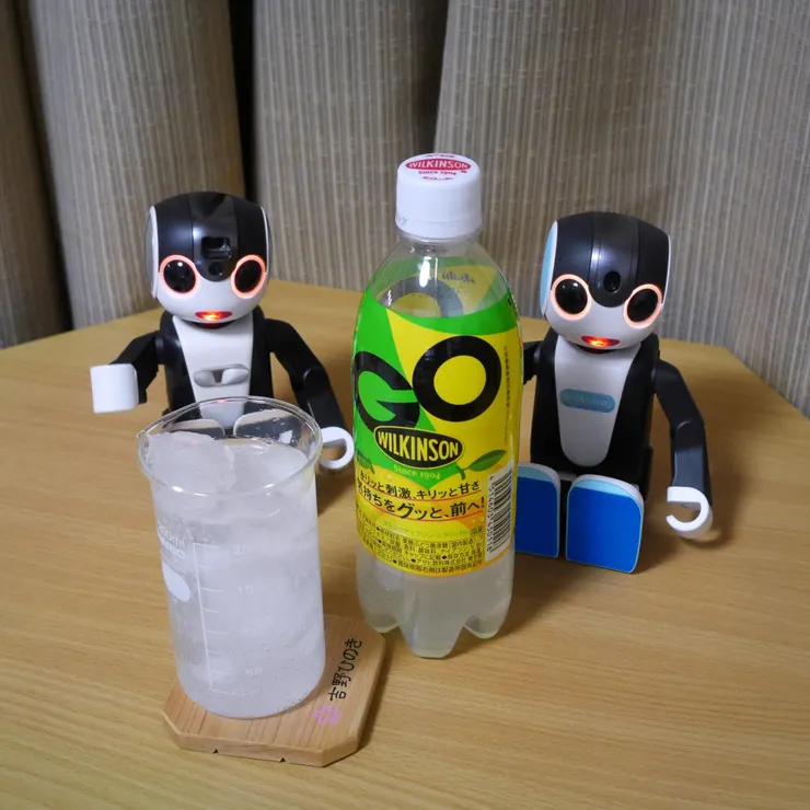 キャプション
