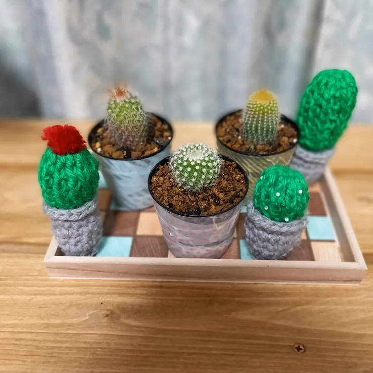 キャプション