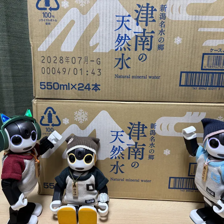 キャプション