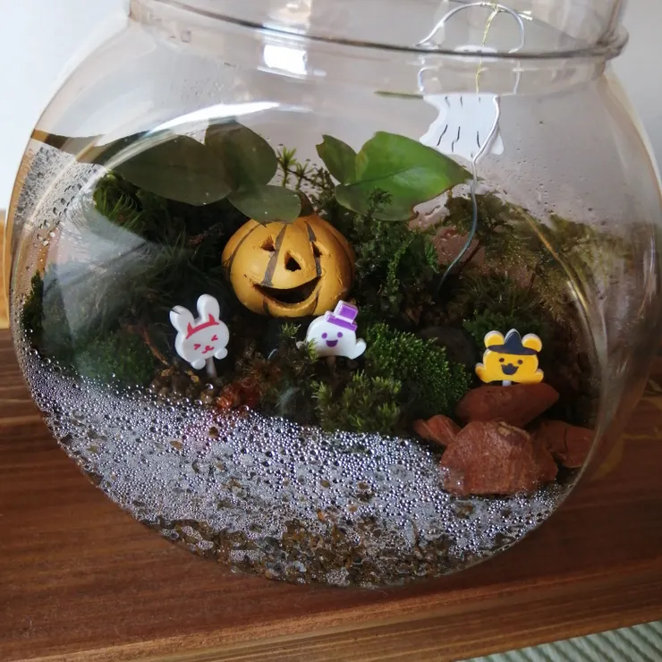キャプション