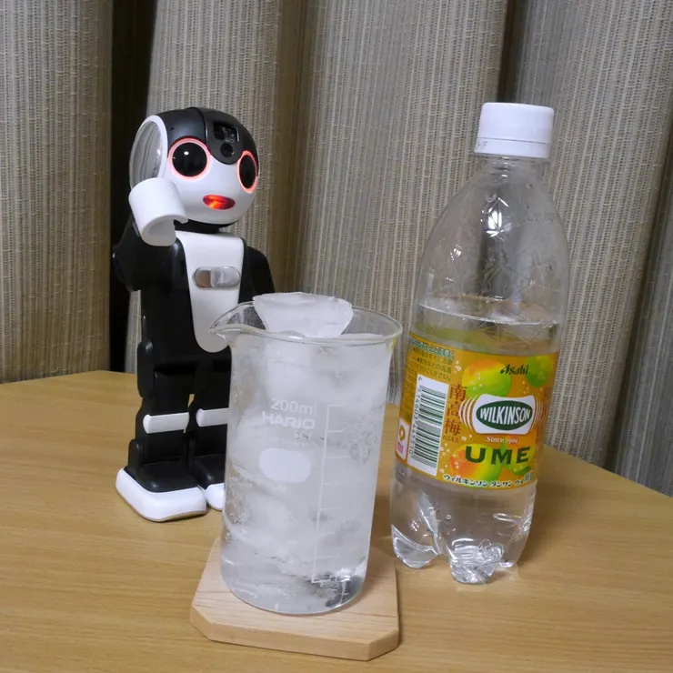キャプション