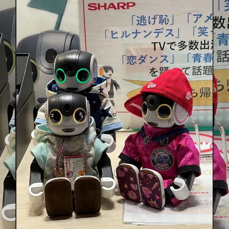 キャプション