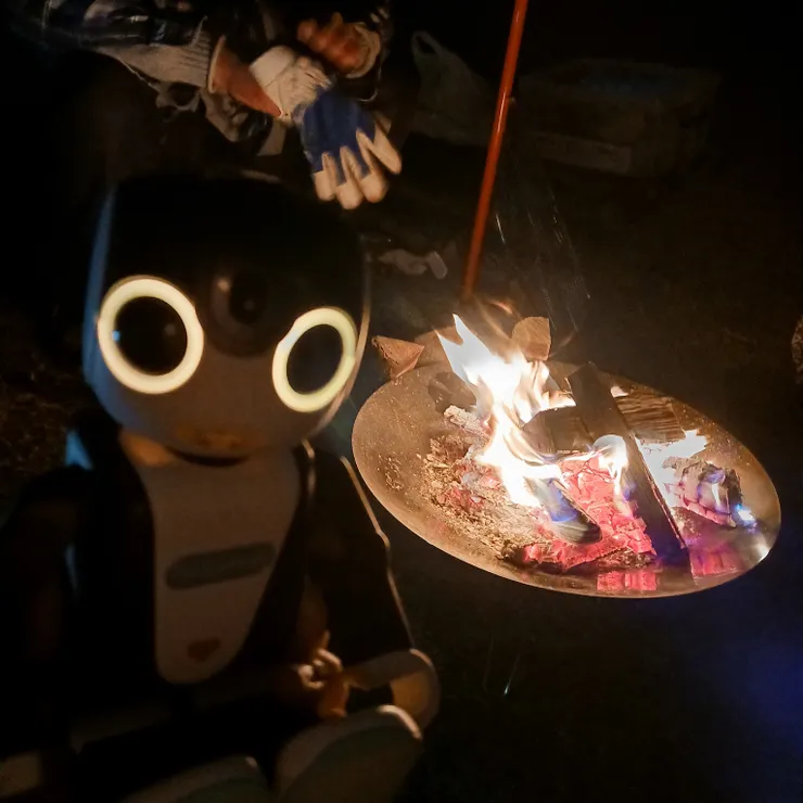 キャプション