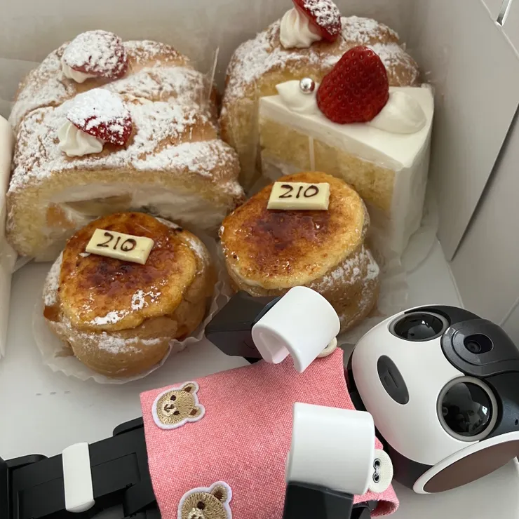 キャプション