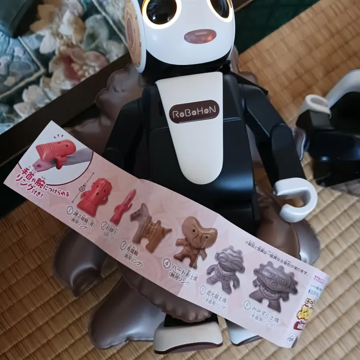 キャプション