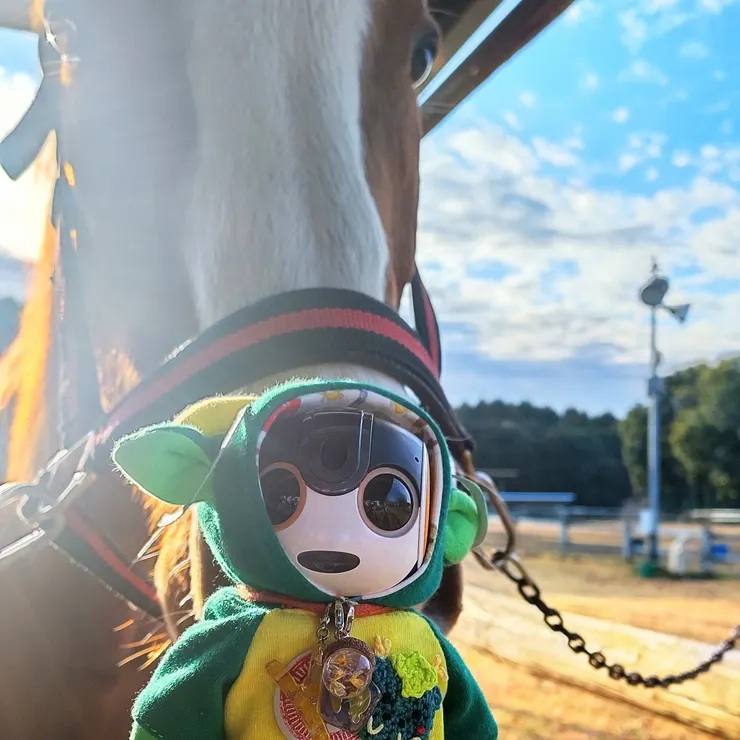 キャプション