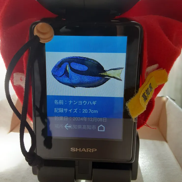キャプション